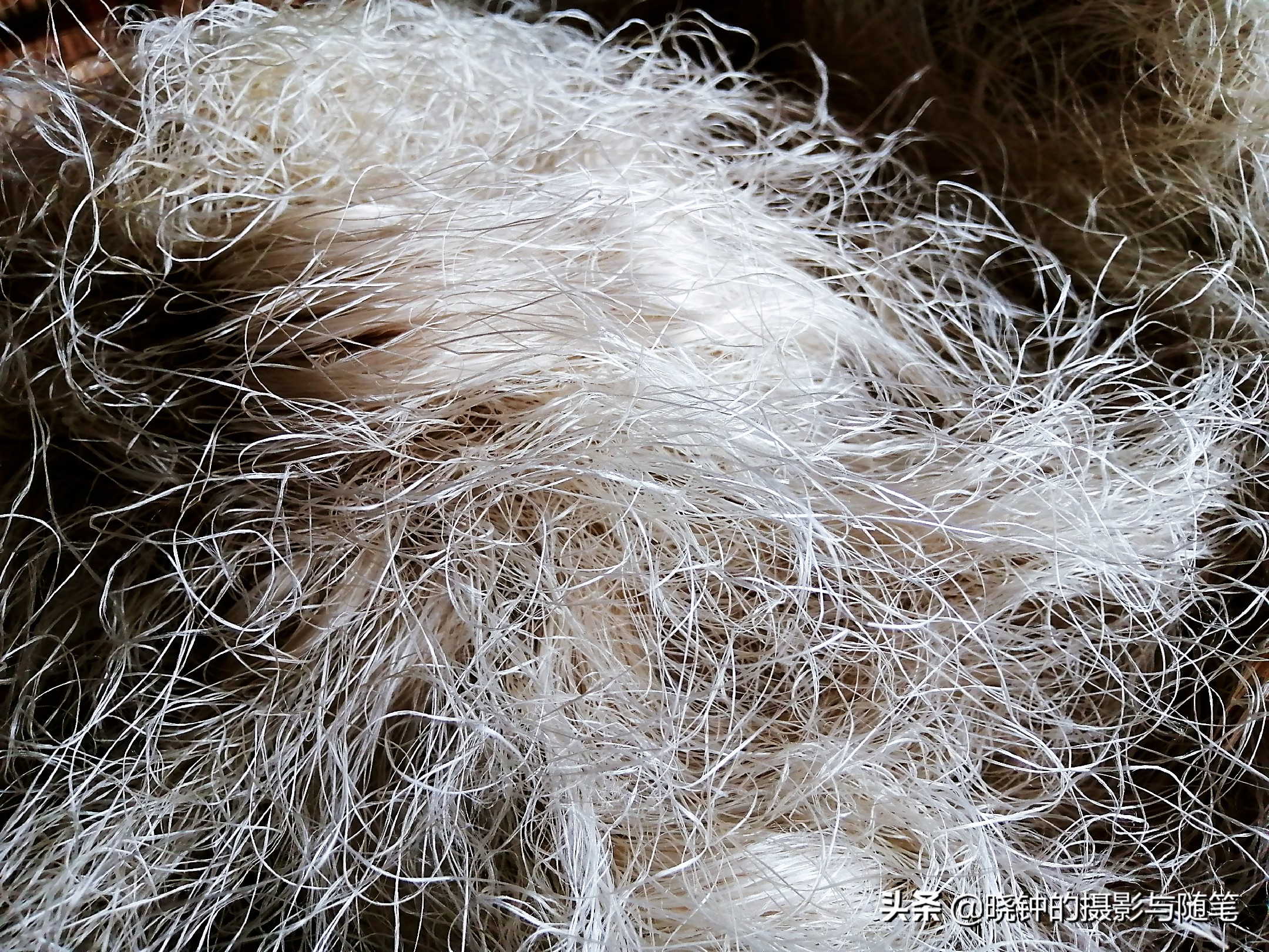 越南丝绸国营品牌,越南芽庄丝绸