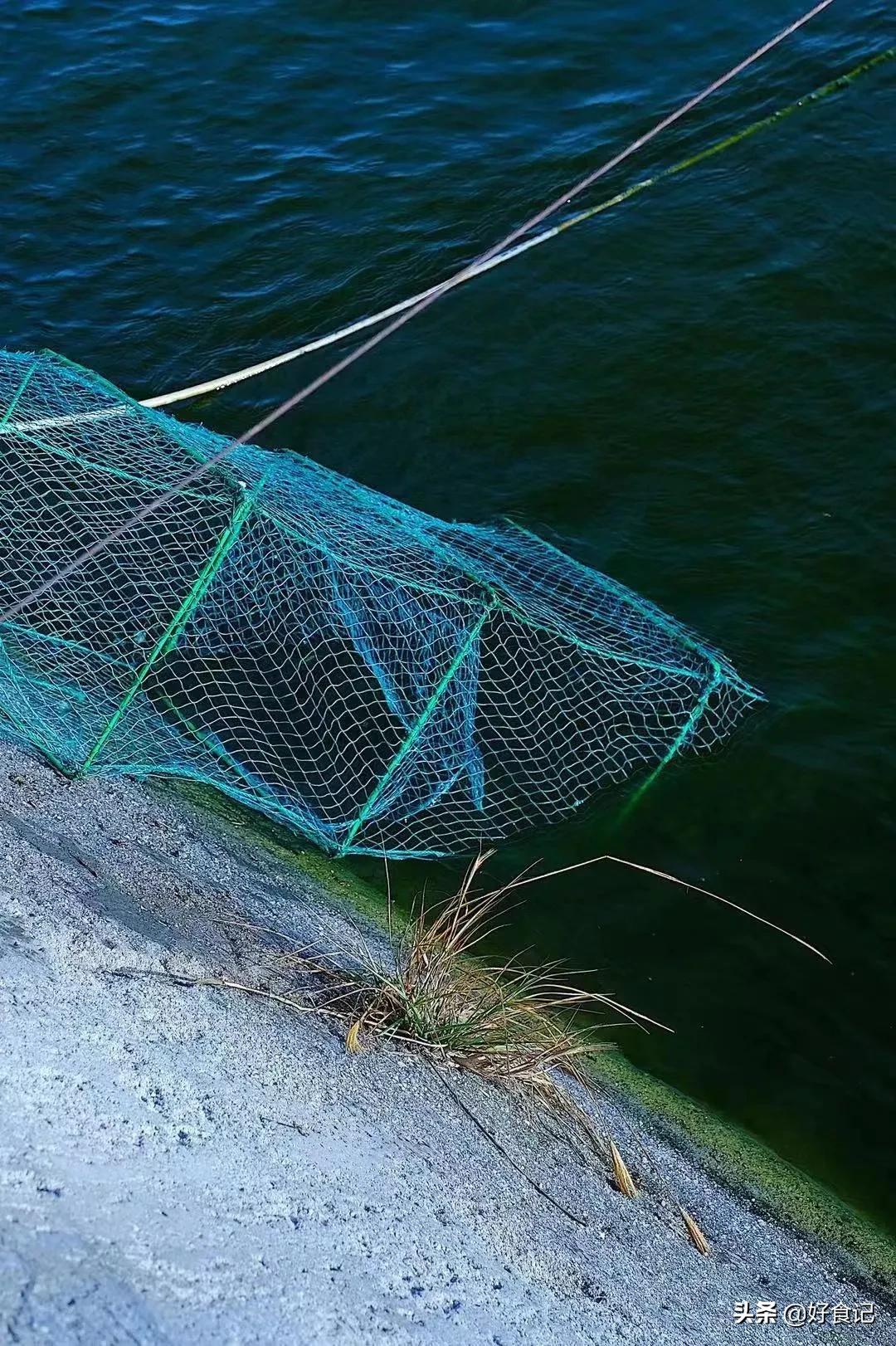 一年8亿，两年冲刺20亿，什么成就了黑马逮虾记