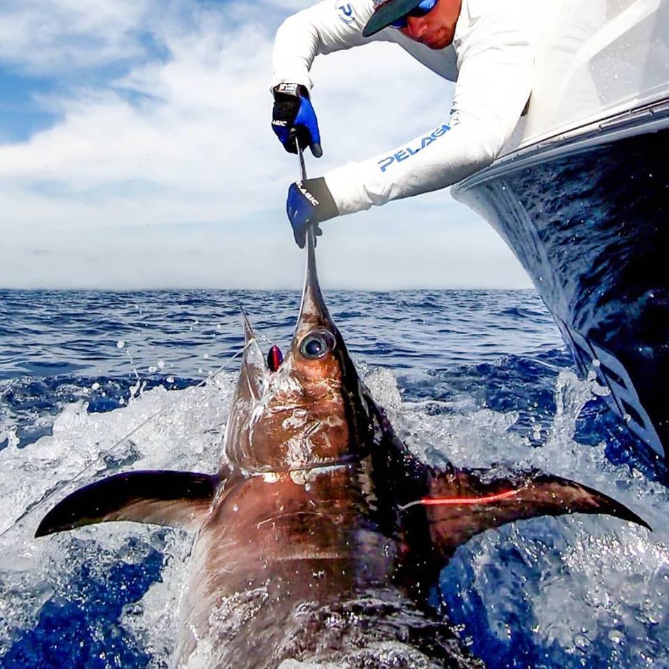 海钓超级刺激,海钓极限钓鱼