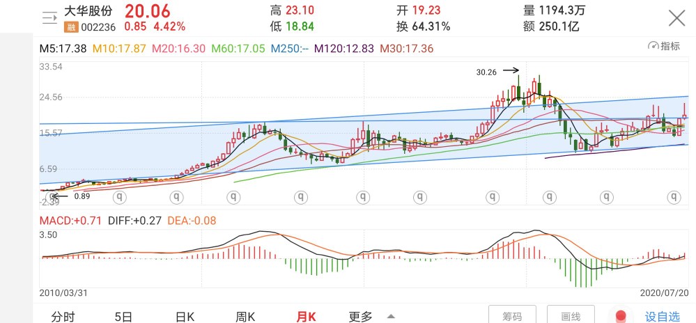 大华股份安防老二能否逆袭,大华股份未来10年估值