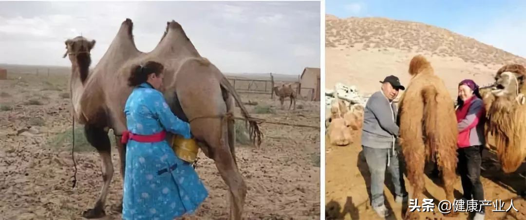 一个人，一部手机，一个店面，从0到年入30万：不知道的社区团购