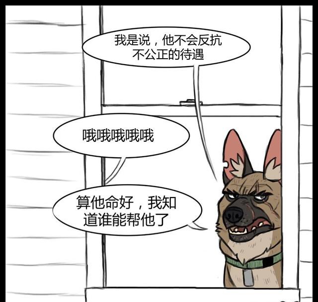 大狼狗和小奶猫,大狼狗小奶猫和平精英