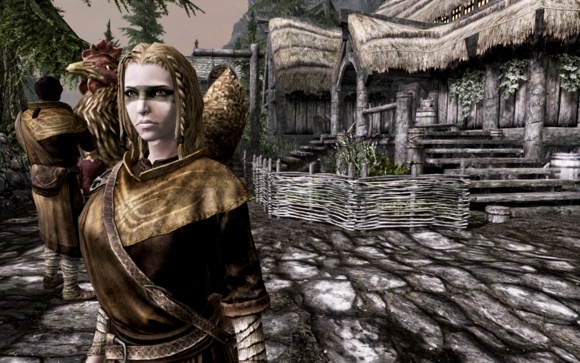 上古卷轴5杀鸡有什么好处,上古卷轴5有些什么有意思的玩法