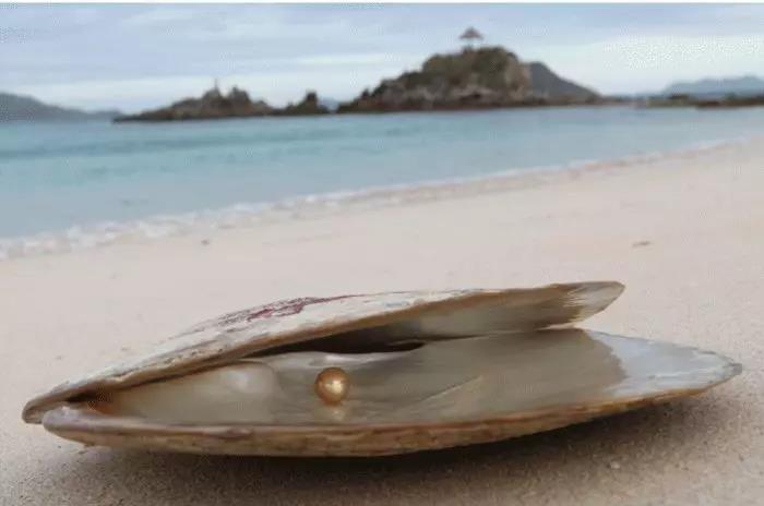 菲律宾最美十大海岛可以钓鱼吗,菲律宾最适合度假的岛