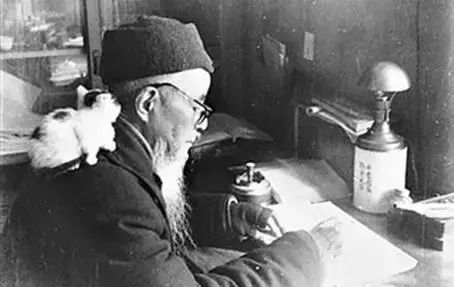 钱钟书和林徽因的护猫之战 (钱钟书的猫跟谁的猫打过架)