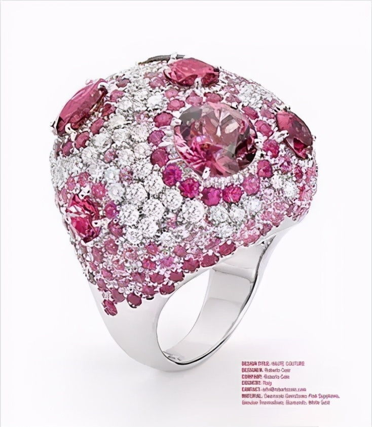 施华洛世奇花漾魔力寓意 (施华洛世奇的花样魔力)