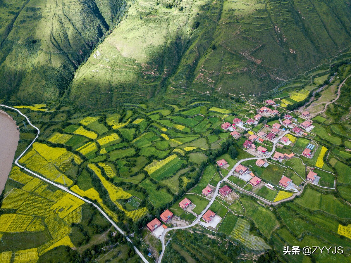 藏地中草药,川藏高原中草药有哪些