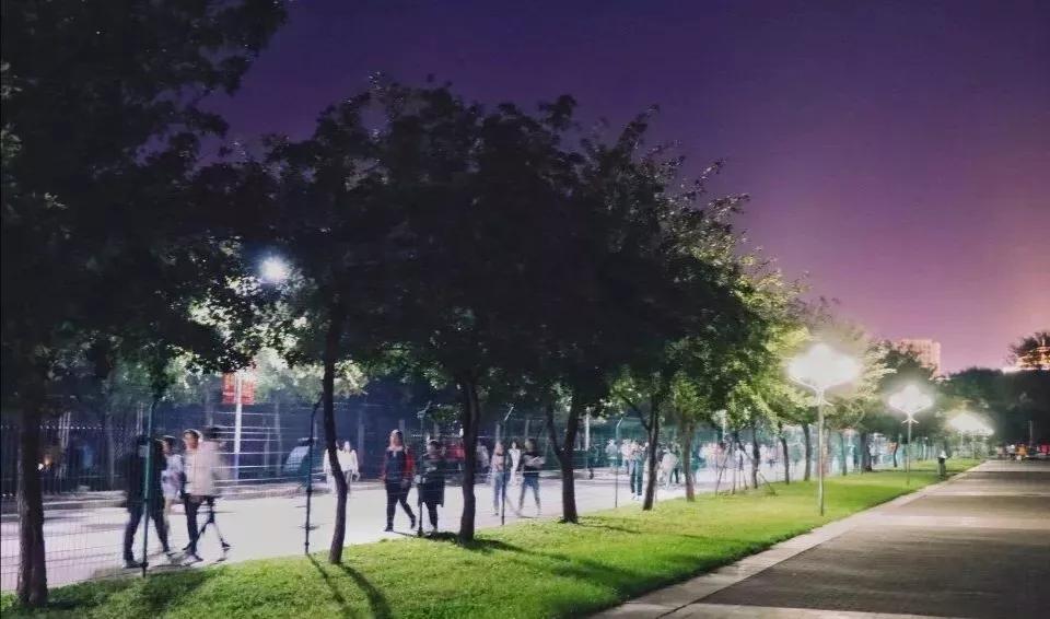 辽宁省内大学排名沈阳医学院,辽宁省沈阳医学院前景