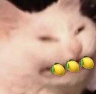 宋茜谭松韵任嘉伦李现千玺,许光汉宋威龙视频通话模板