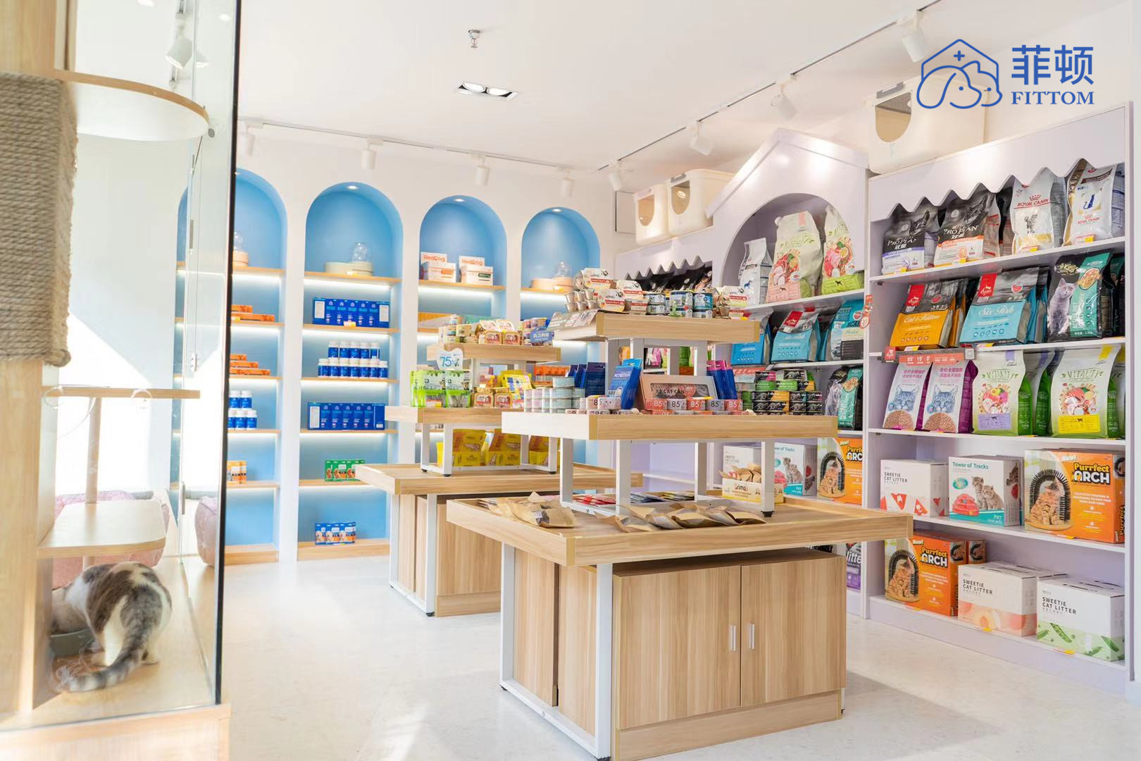 广州菲顿宠物线下康复靠谱吗,菲顿宠物