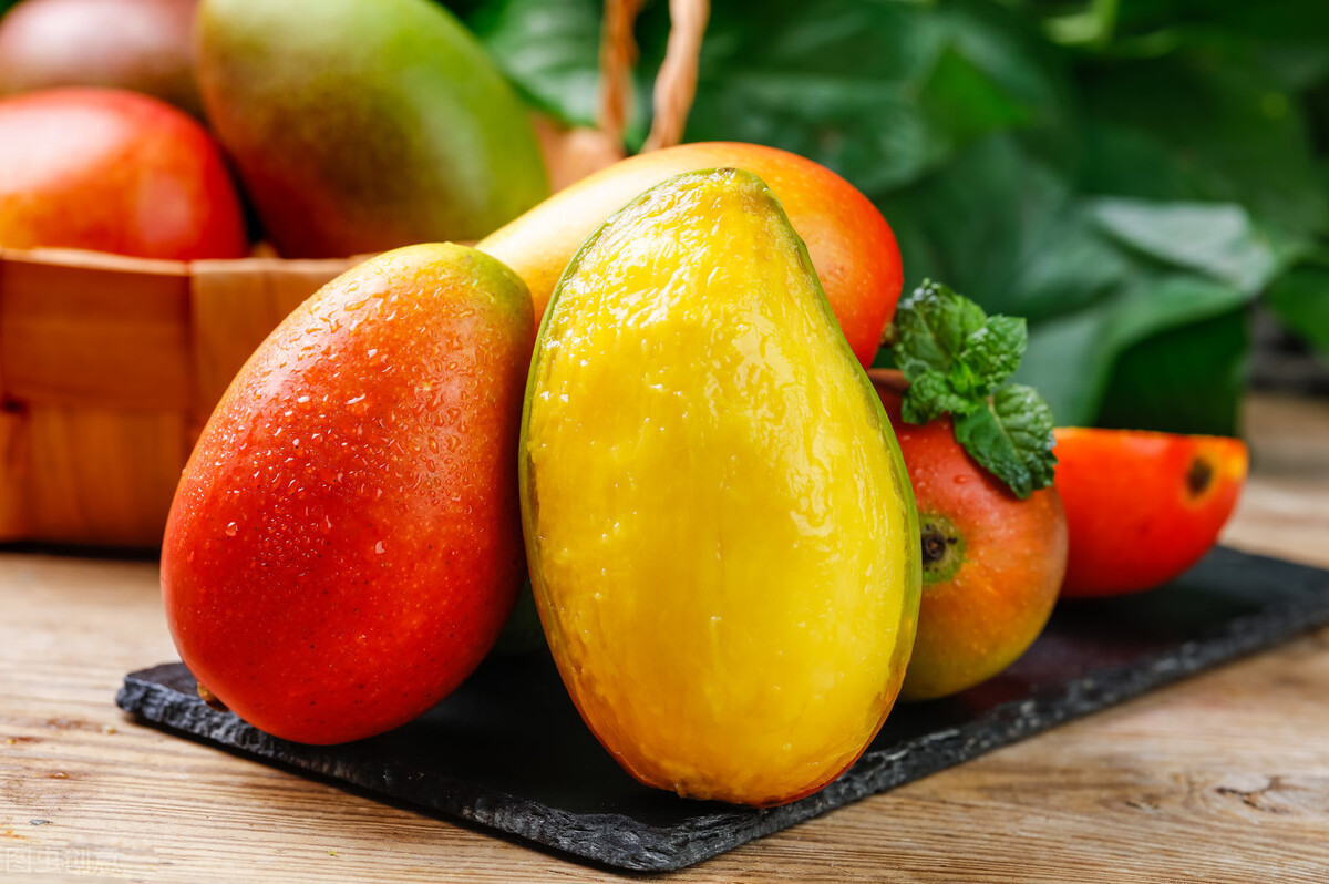 芒果贵妃芒金煌芒,海南芒果金煌芒和贵妃芒