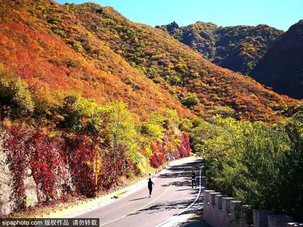 10月北京最佳小众旅行地！绝不能错过的秋色，到底有多美？
