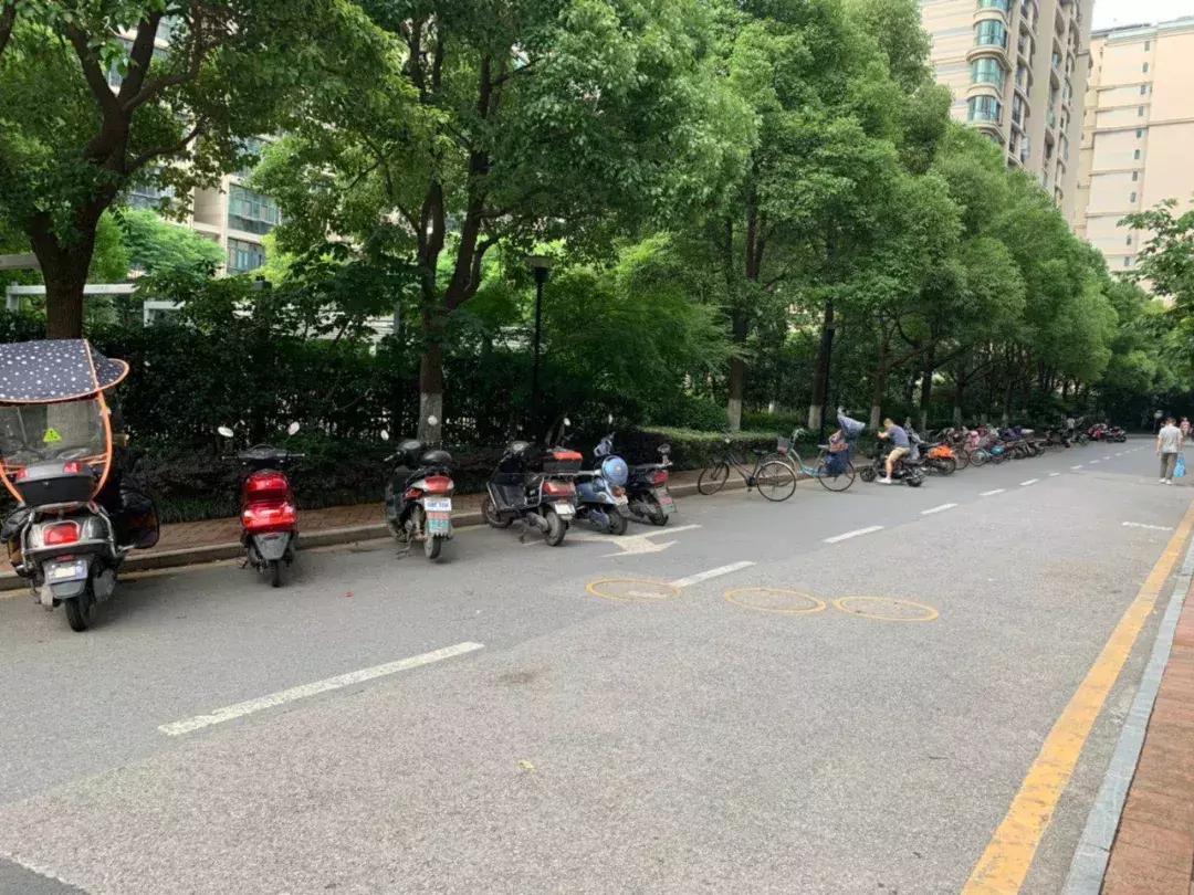 我叫雅居乐花园，我只想做个安安静静的*男美**子