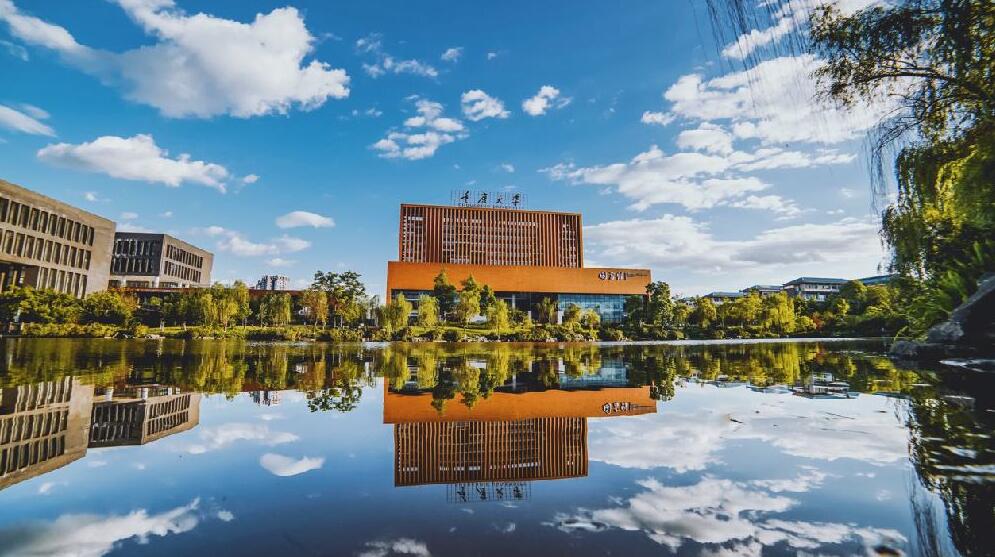 2020年管理类专业就业率最高专业,管理学就业前景与方向