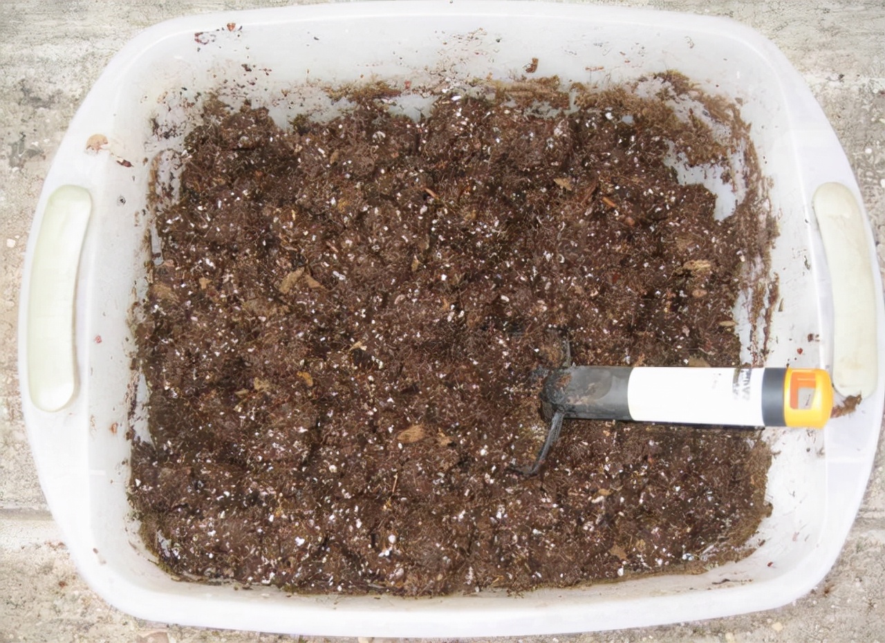 营养土养花专用植物土批发,砖土和营养土养花哪个好