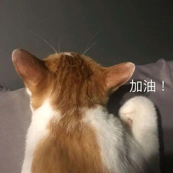 怎样在个人公众号上盈利,新手做公众号如何盈利