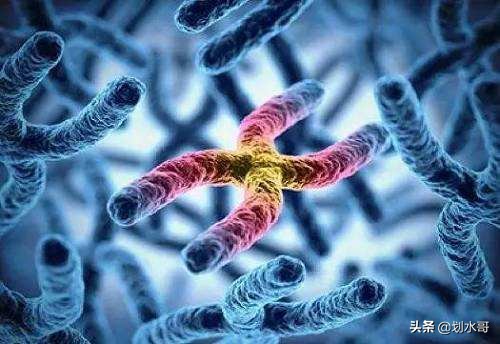 奴隶贸易兴起的原因,奴隶贸易开始的原因有哪些