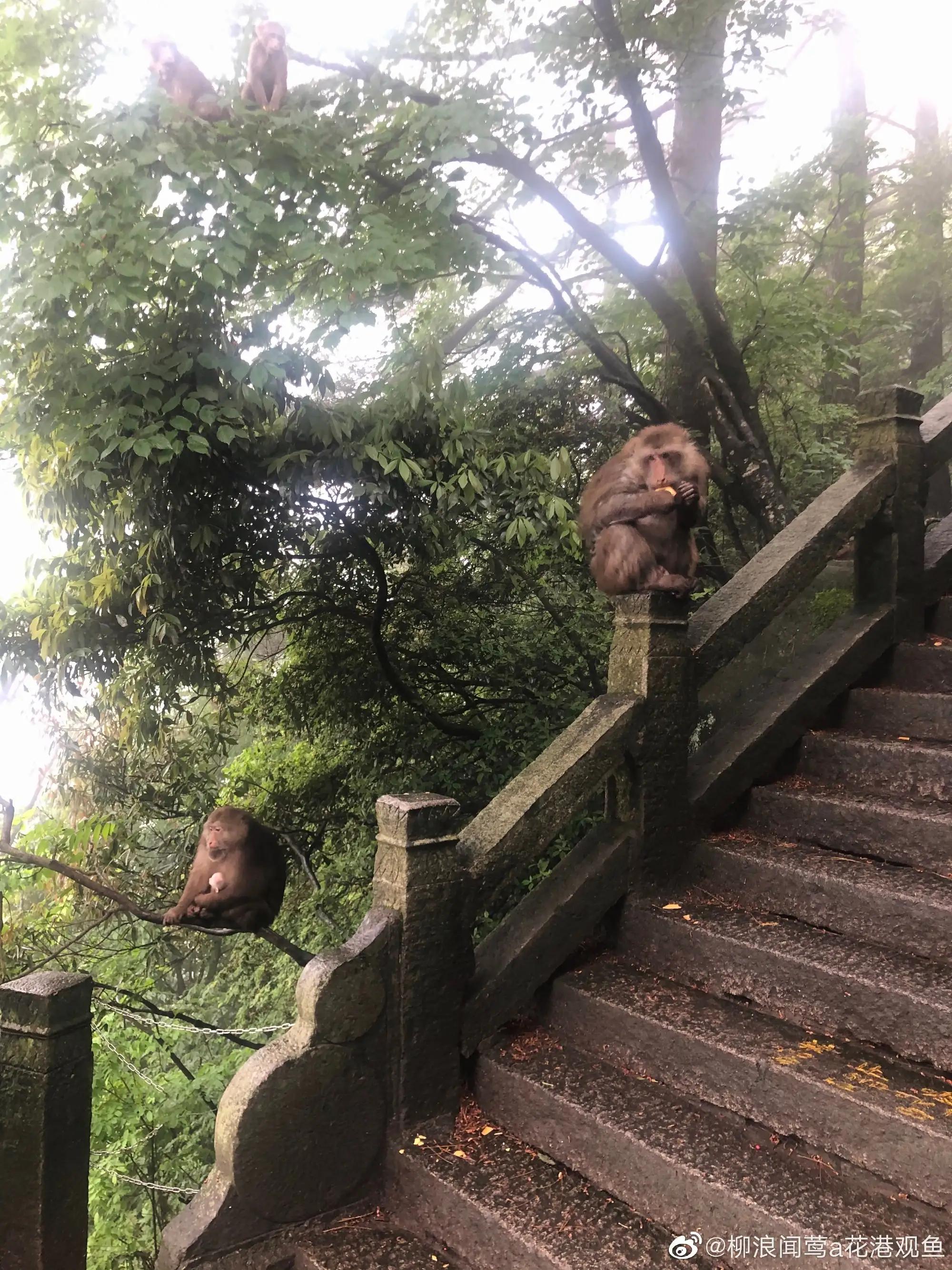 九华山风景图片高清美图,九华山拍照写真