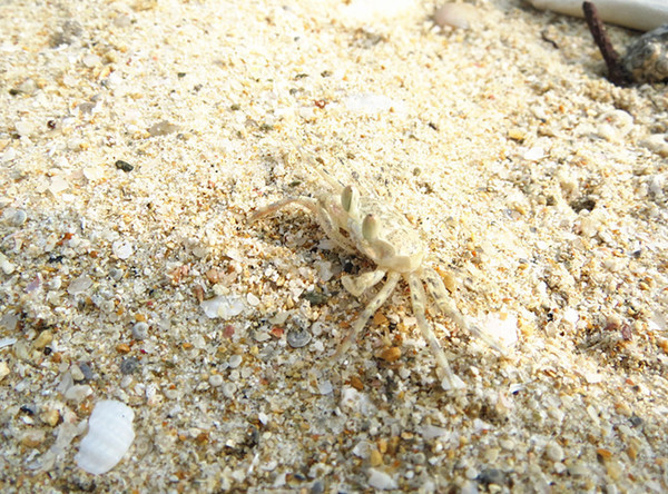 迟来的蜜月迟到的游记,迟来三年的蜜月之旅
