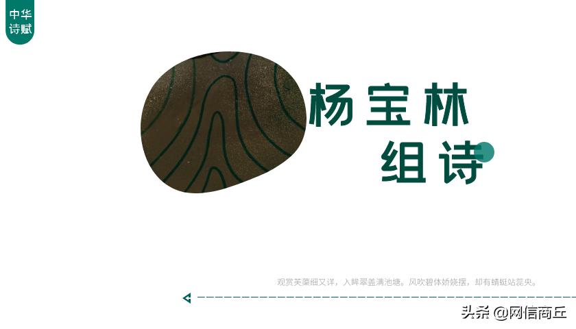 杨宝林创作,杨宝林书画