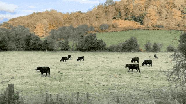 影视剧中让人过目不忘的取景地,究竟有多好玩?
