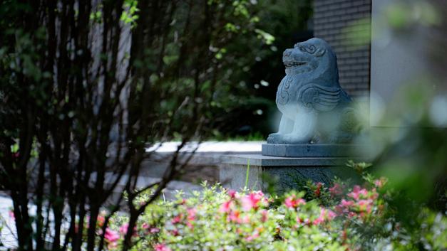 汉中聚宝盆在哪,新聚宝盆在哪里卖