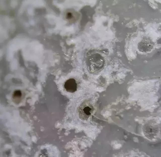 古陶瓷鉴定常识,别被忽悠了素材