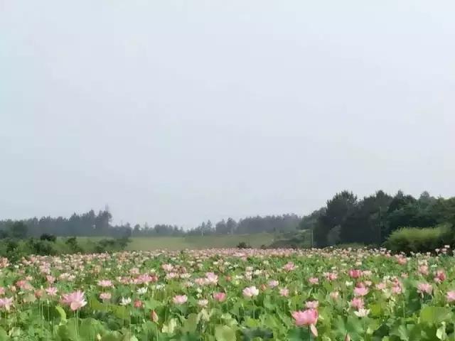 鹰潭好还是贵溪好,贵溪是一个怎样的地方