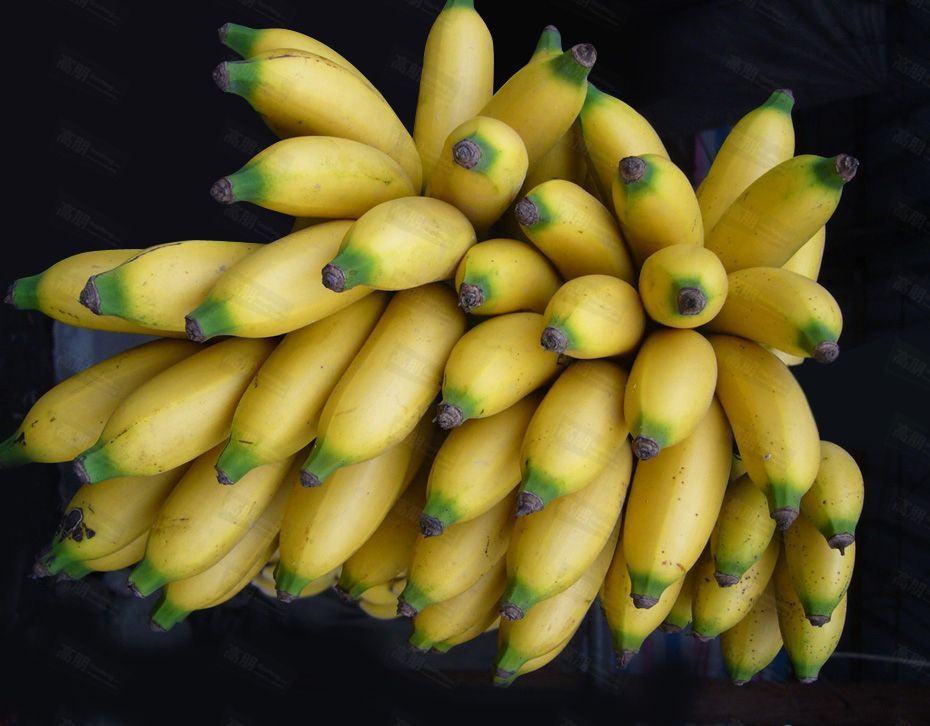 10种果子图片大全,100种果子介绍