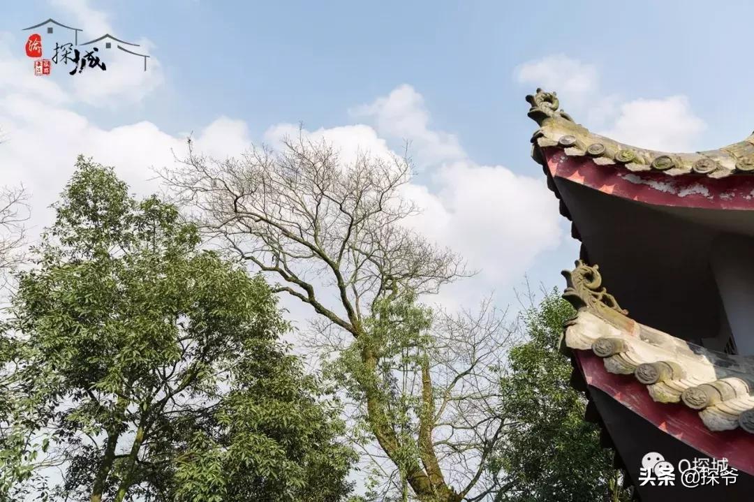 重庆爬山推荐险峻,重庆峭壁悬崖景区