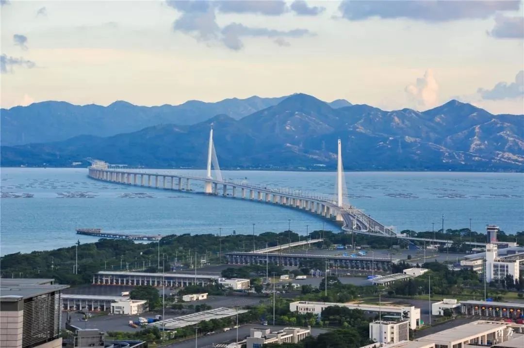 深圳湾在哪里,深圳湾是什么区的