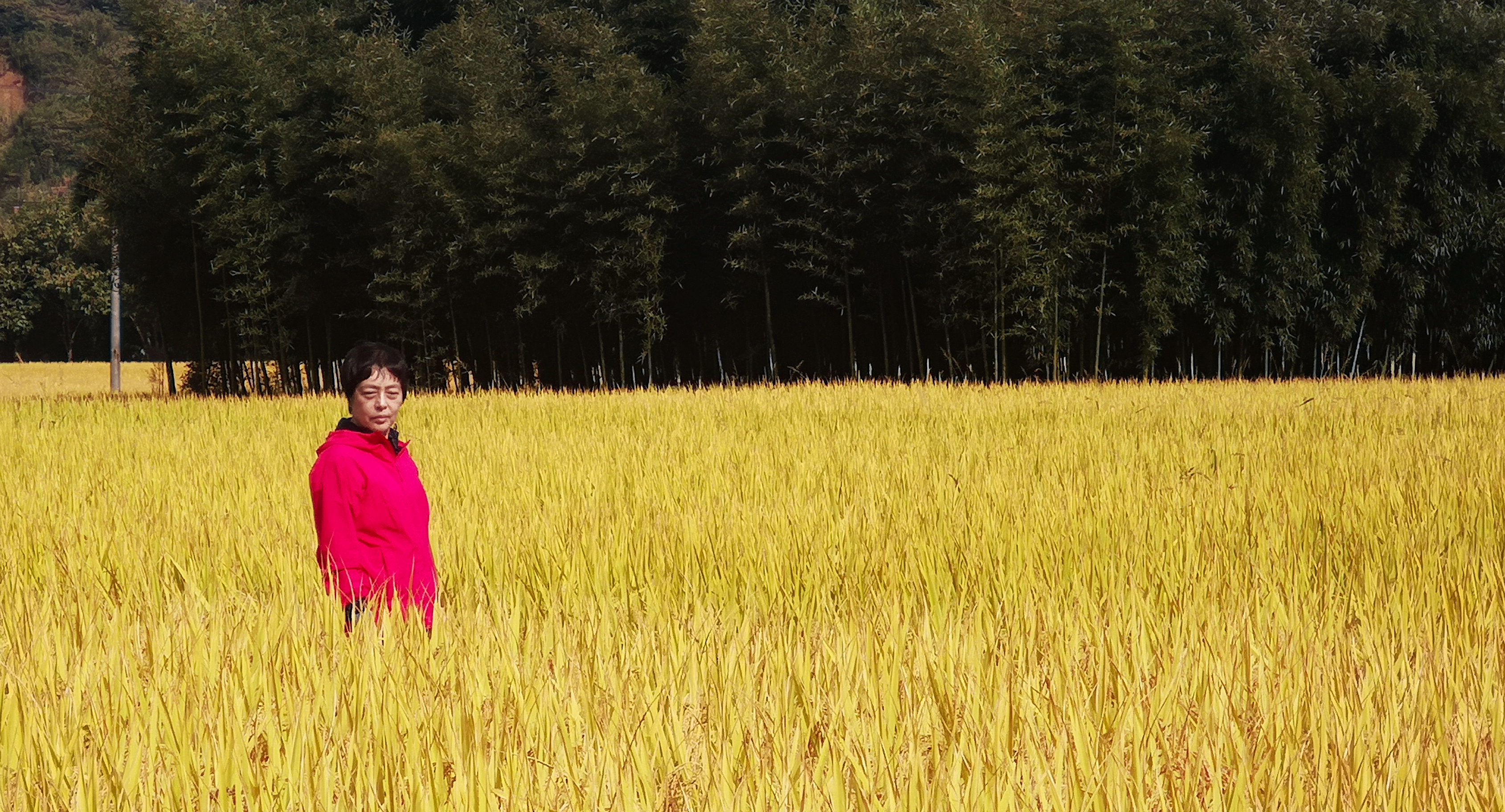 带你游杭州,从南京出发杭州周边城市旅游攻略