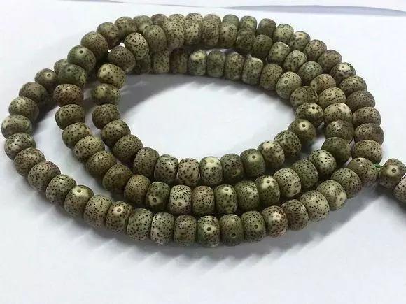 星月掉一块皮还能盘吗,星月阴皮是什么样的