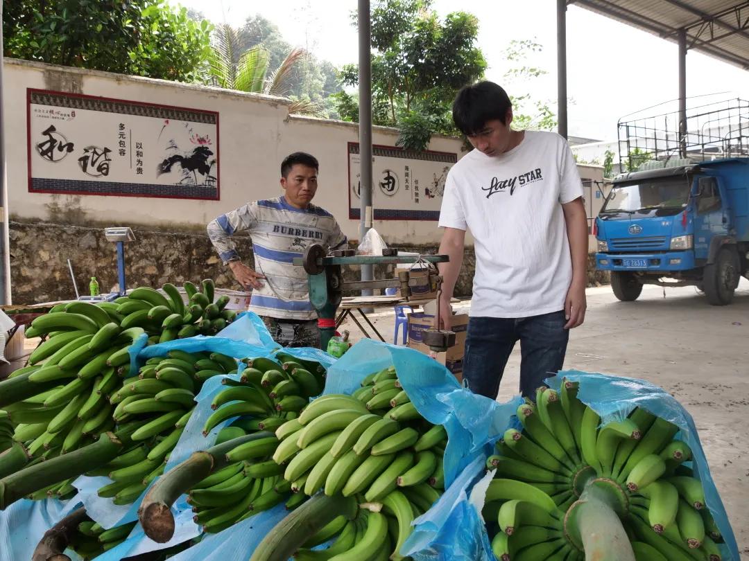 乡村振兴电商扶持政策,农村电商乡村振兴扶持政策