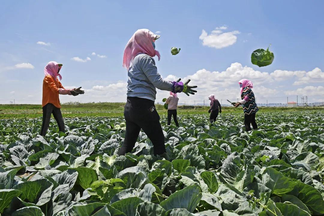 彪炳史册历史性成就,彪炳峨边脱贫攻坚史册