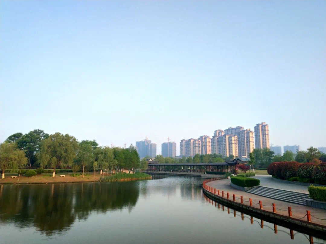 新城热土！为何这里受到多数丰县人热捧？