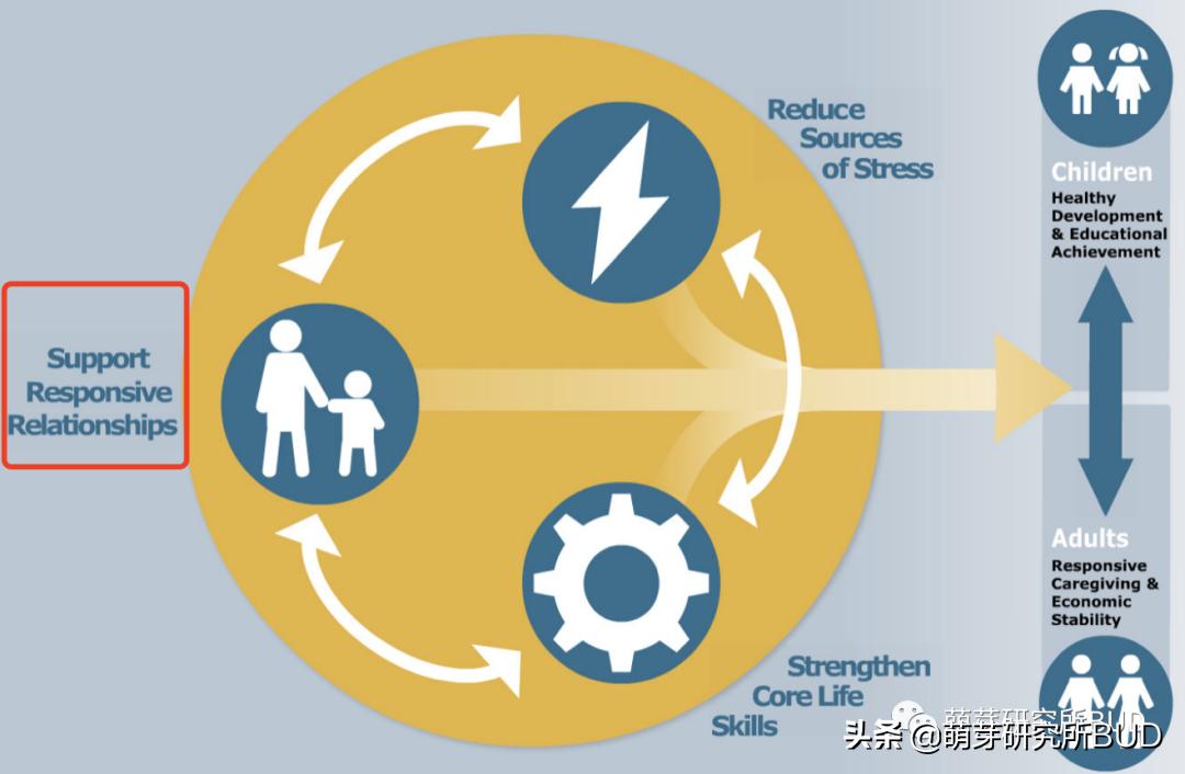 什么年龄段孩子适合什么兴趣班,什么年龄报兴趣班好