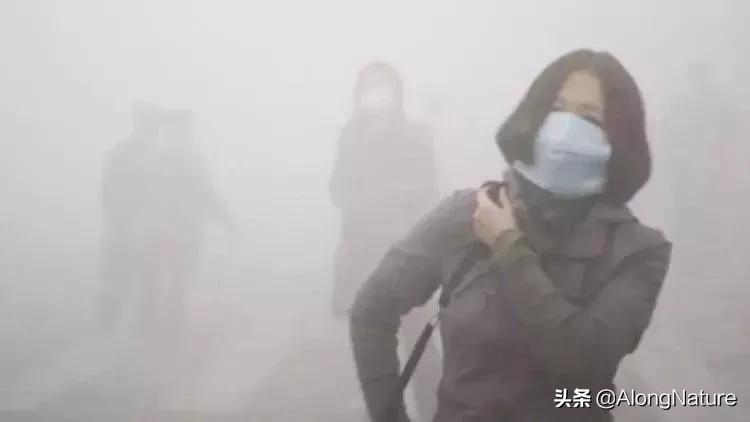 杀菌除螨虫神器,婴儿高档消毒杀菌神器