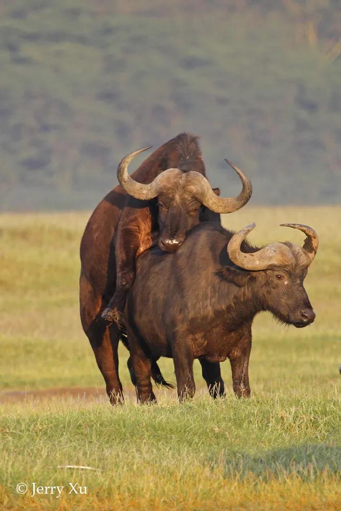 情人节适合干什么事,情人节对方做过最让你感动的事