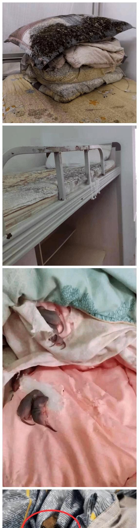 “兄弟们，女神给我说她嘴起泡了，我该怎么做啊？”哈哈哈...