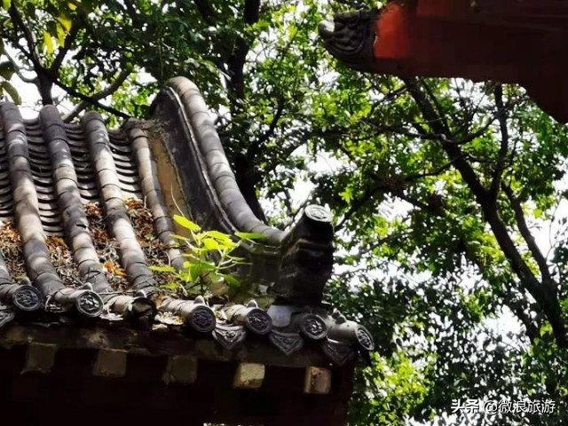 阴阳井之谜,揭开天干地支的秘密