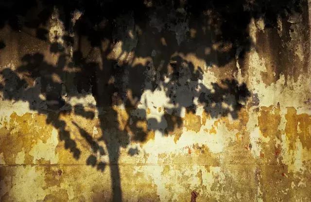 电影胶卷好吗,电影胶卷推荐