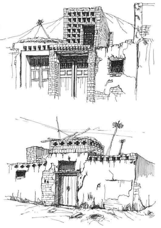 速写风景初学者入门教程,速写风景初学者入门教程植物