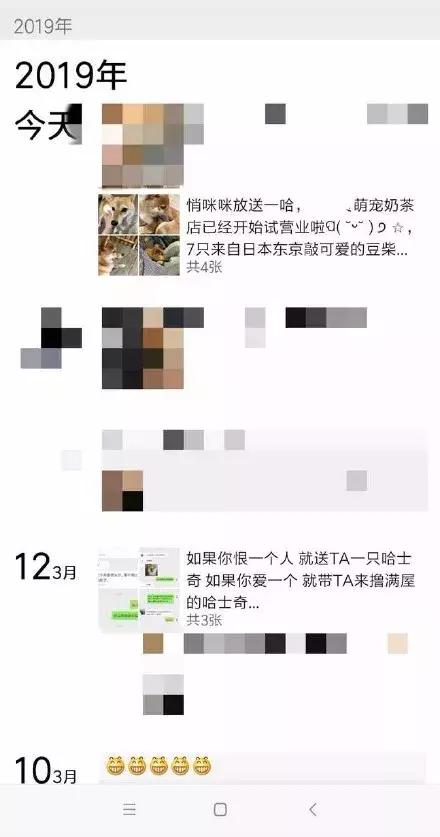 哈士奇把主人的家拆了,被哈士奇拆的家