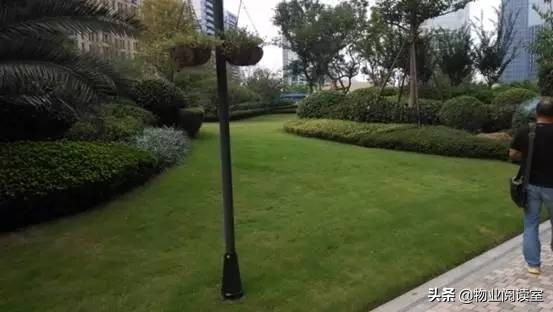 小区绿化日常养护工作内容,小区绿化养护多少钱一个平方