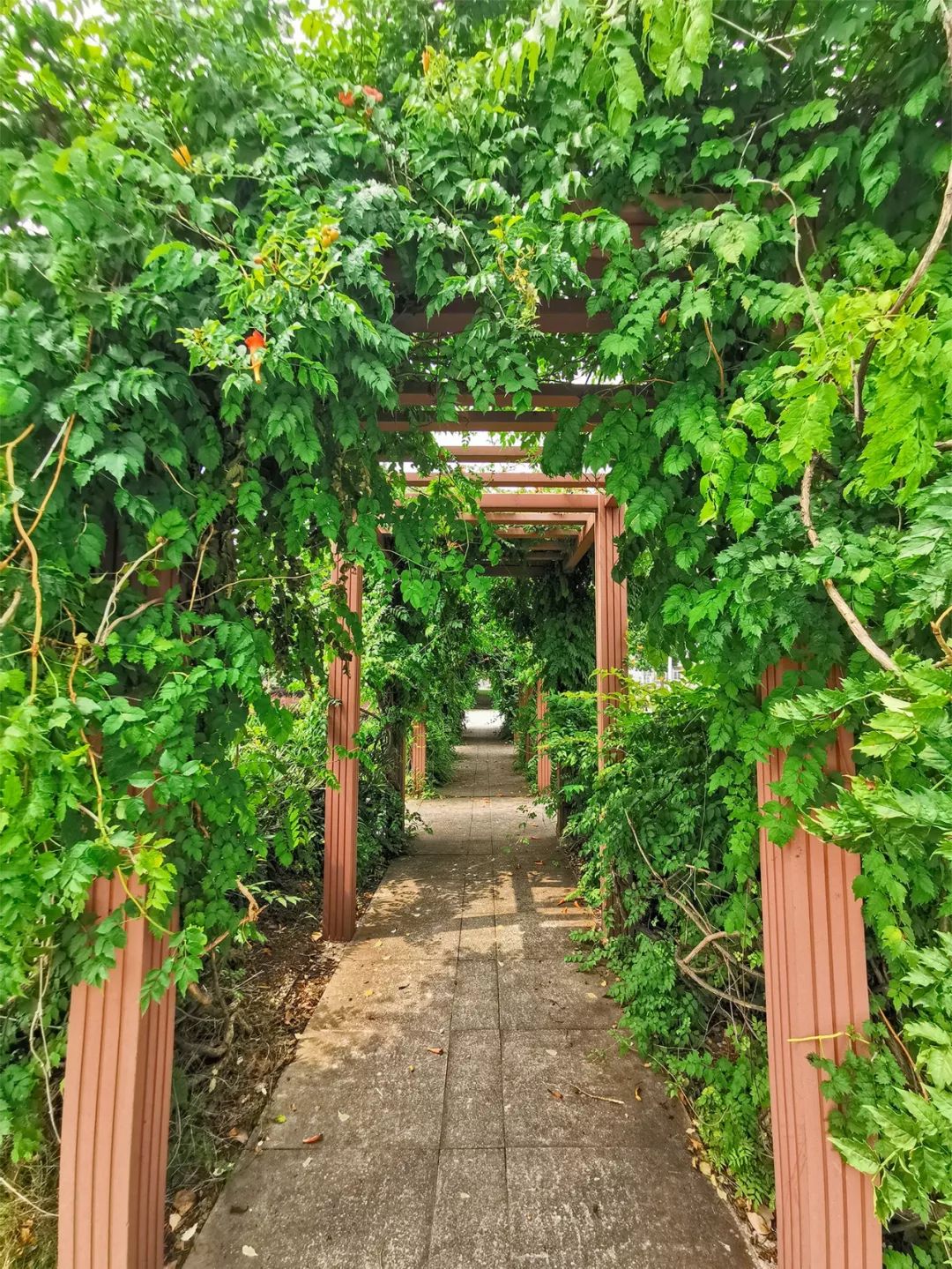 全国第一！华中农业大学真是太太太牛了