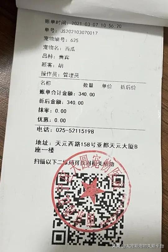 十二指肠溃疡丨太宠爱理赔案例南京天圆宠物医院