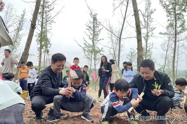 成都师范附属小学邛崃文君分校,温江成都师范附属学校