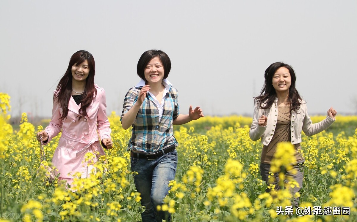 生态农业的优势及前景,生态农业发展存在的问题