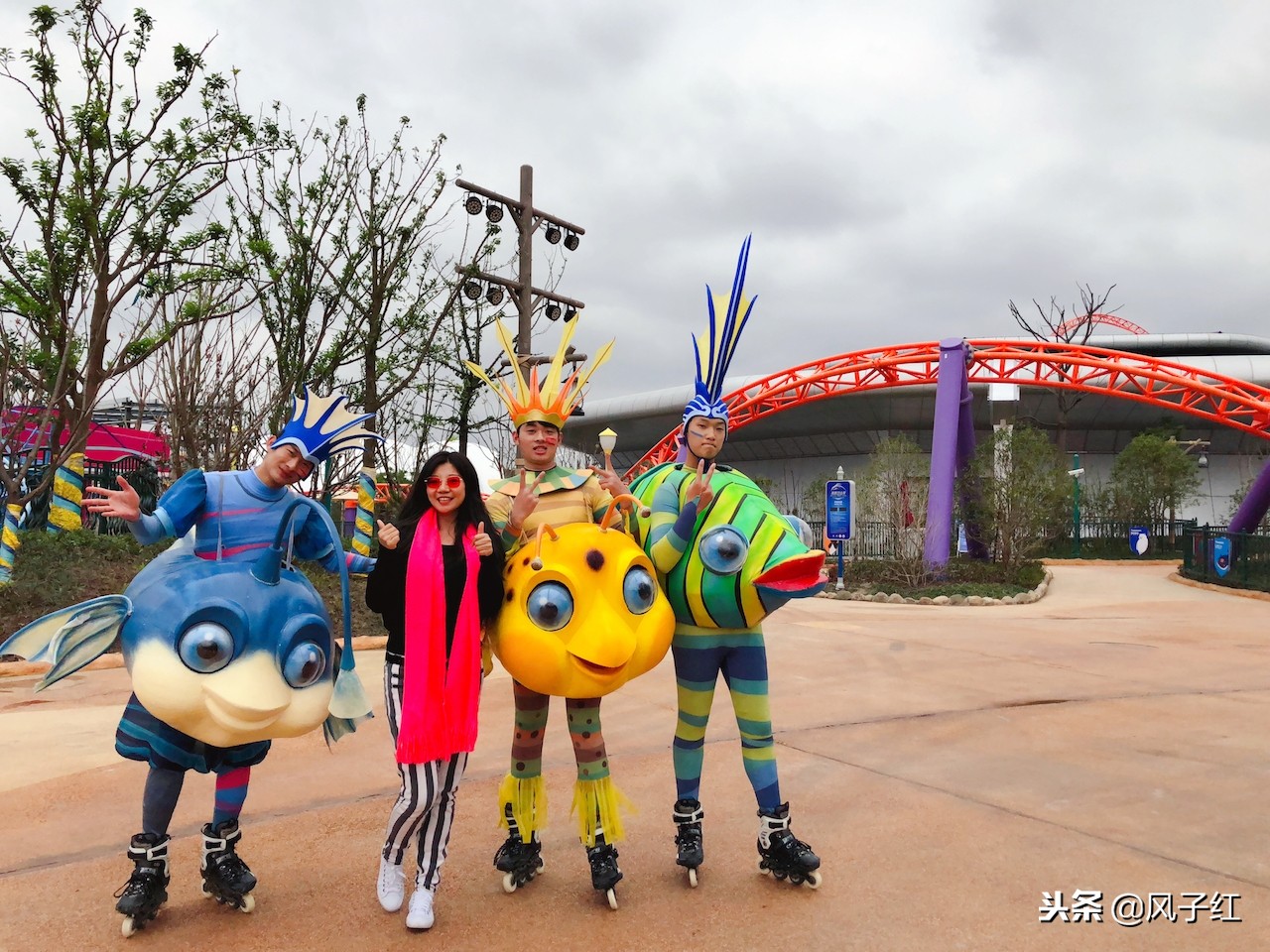 上海新地标丨海昌海洋公园一日游园玩法攻略